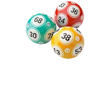 บิงโก